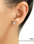 14K White Gold Diamond Cluster Stud Earring with Screw-Back, 0.50 carats