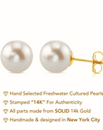 14K Yellow Gold Freshwater White Pearl Stud Earrings, With Pushbacks