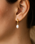 14K Gold Freshwater Pearl Drop Earrings, Huggie Design