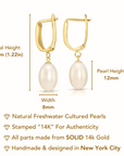 14K Gold Freshwater Pearl Drop Earrings, Huggie Design
