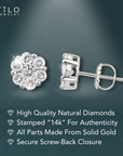14K White Gold Diamond Cluster Stud Earring with Screw-Back, 0.50 carats