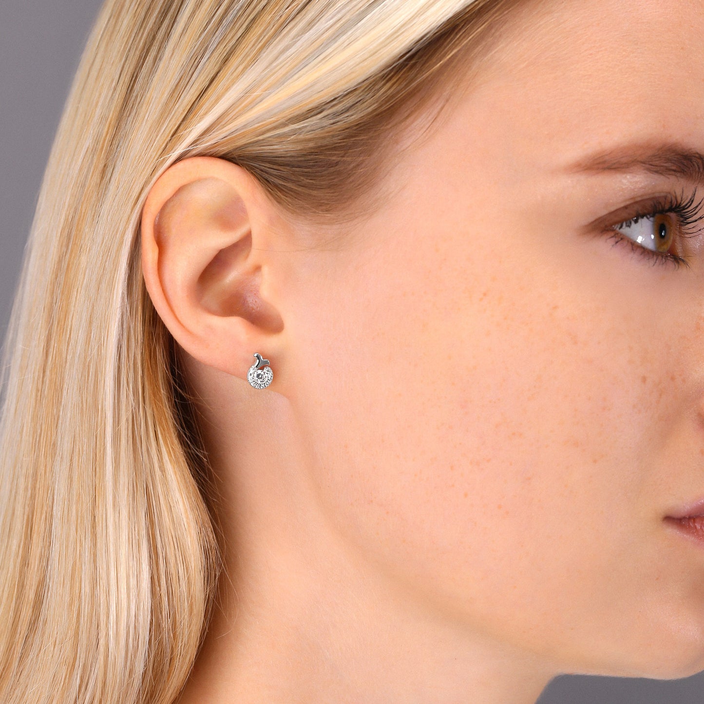 Sterling Silver Shrimp Stud Earrings, Seafood