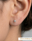 14K White Gold Round Brilliant-Cut Lab Diamond Stud Earrings, Screwback