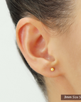 14K Gold Filled High Polished Round Ball Studs, Pushback