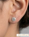 14K White Gold Solitaire Lab Diamond Studs, Screwback