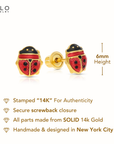 14k Yellow Gold Small Ladybug Stud Earrings, Screwback