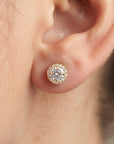 10k Yellow Gold Round Halo Stud Earrings, Screwback