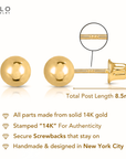 14k Yellow Gold Classic Ball Stud Earrings, Screwback