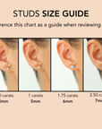 14K Yellow Gold Cubic Zirconia Stud Earrings With Screwbacks