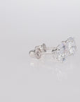10K White Gold Solitaire Screwback Stud Earrings