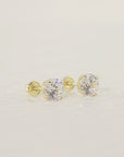 14K Yellow Gold Classic Solitaire Screwback Stud Earrings