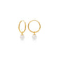 14k Yellow Gold Endless Hoops with Freshwater Pearls
